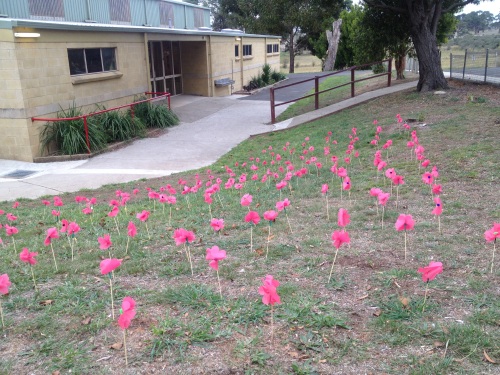 150 poppies made by the students
